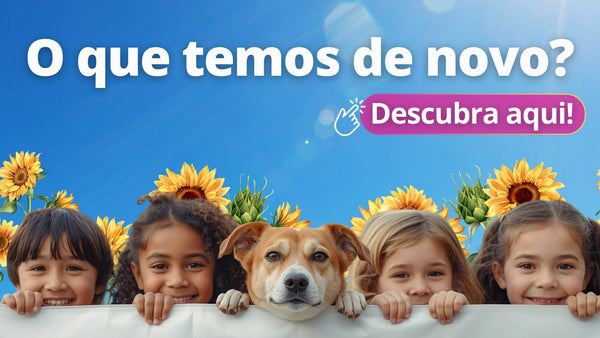 🤩 O que tem de novo na Loja Digital DIG!